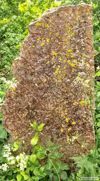 Runhäll Ög87, L2011:444