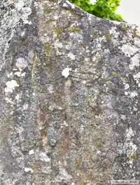 Runhäll Sö231, L2015:6061