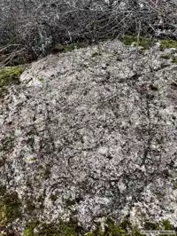 Fotografi av Runhäll U308, L2015:4916 taget av Martin Pessink