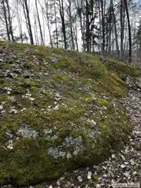 Fotografi av Runhäll URR1987;134, L2013:1590 taget av Martin Pessink