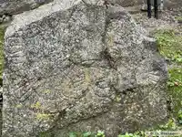 Runristning U960, L1941:3363