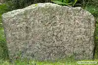 Runsten DR364, L1979:3984