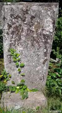 Runsten DR366, L1979:3439