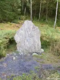 Fotografi av Runsten Korsstenen, Sö264, L2014:3939 taget av Joanna Łasica
