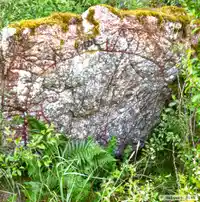 Runsten Sö224, L2015:6614