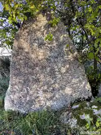 Runsten U1111, L1942:8439