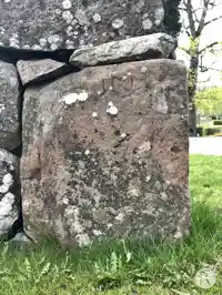 Runsten U220, L2020:10302