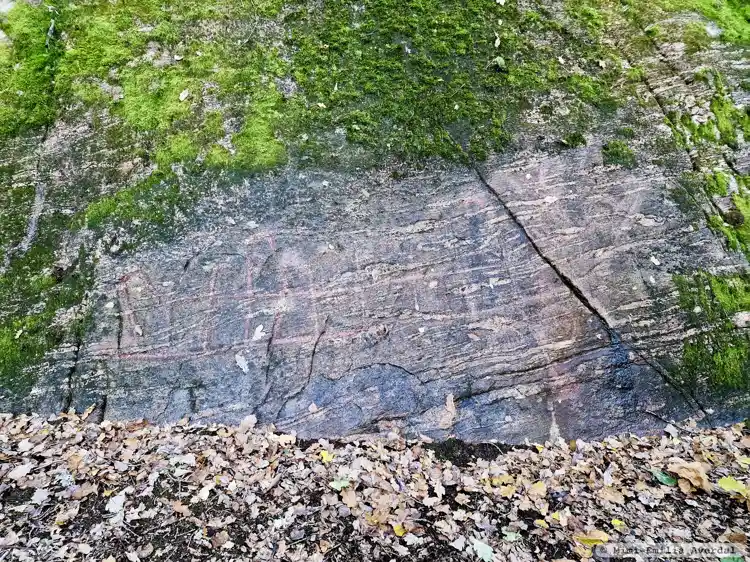 Fotografi av Hällristning, L1964:1784 taget av Mimi-Emilia Averdal