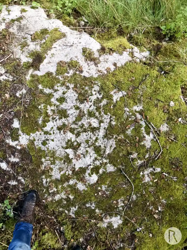 Fotografi av Runhäll Hargs bro, U310, L2015:4606 taget av Niklas Vackerdag