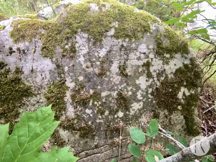 Fotografi av Runhäll, L1984:5876 taget av Niklas Vackerdag