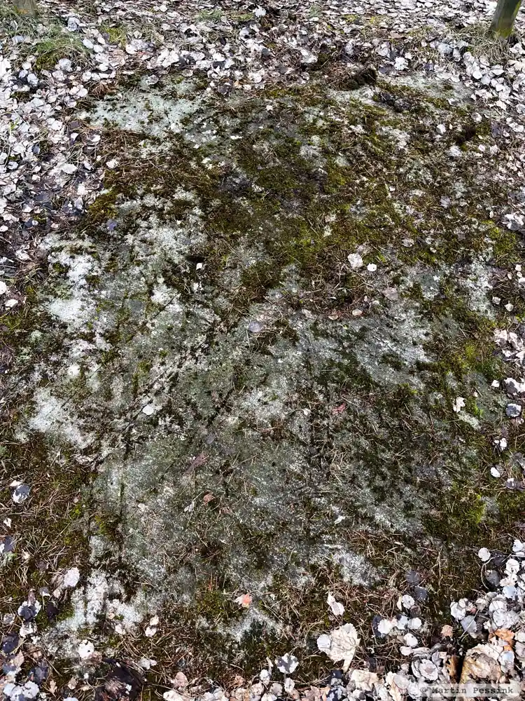 Fotografi av Runhäll U99, L2015:5108 taget av Martin Pessink