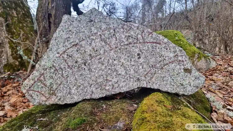 Fotografi av Runristning U192, L2014:3638 taget av T.Schmithüsen