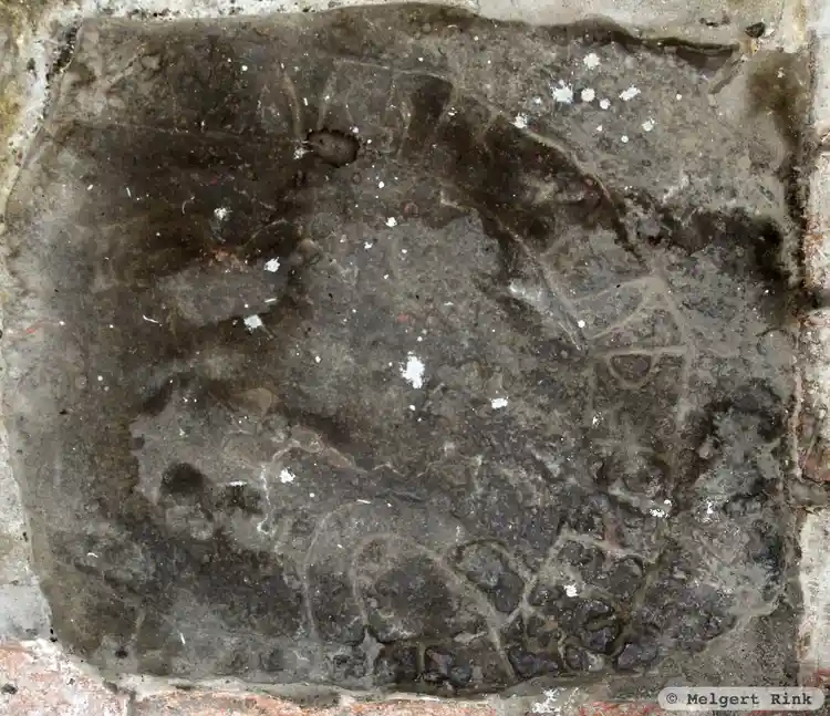 Fotografi av Runristning U24, L2016:658 taget av Melgert Rink