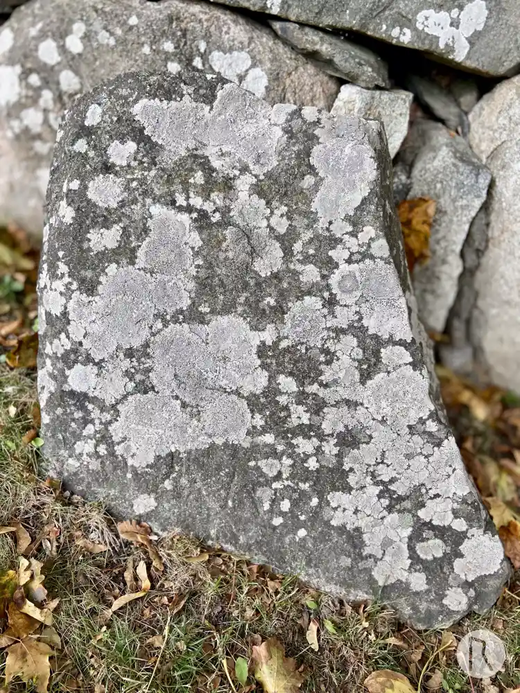 Fotografi av Runristning U507, L2016:5693 taget av Niklas Vackerdag