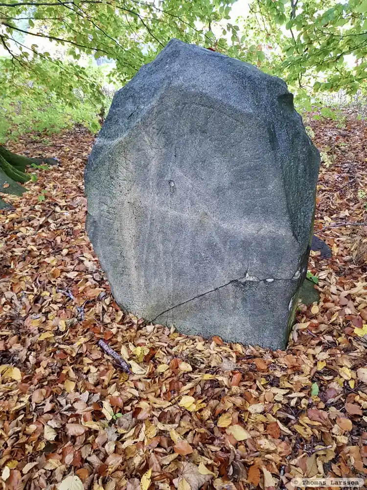 Fotografi av Runsten DR276, L1989:4370 taget av Thomas Larsson