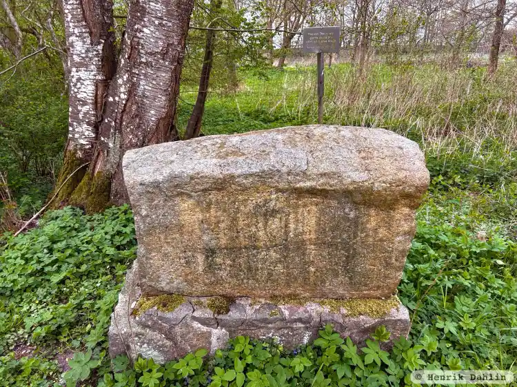 Fotografi av Runsten Källstorpstenen eller Jordbergastenen, DR269, L1989:8364 taget av Henrik Dahlin
