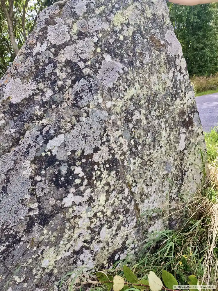 Fotografi av Runsten Kung Rånes sten, Vg123, L1963:8062 taget av Mimi-Emilia Averdal