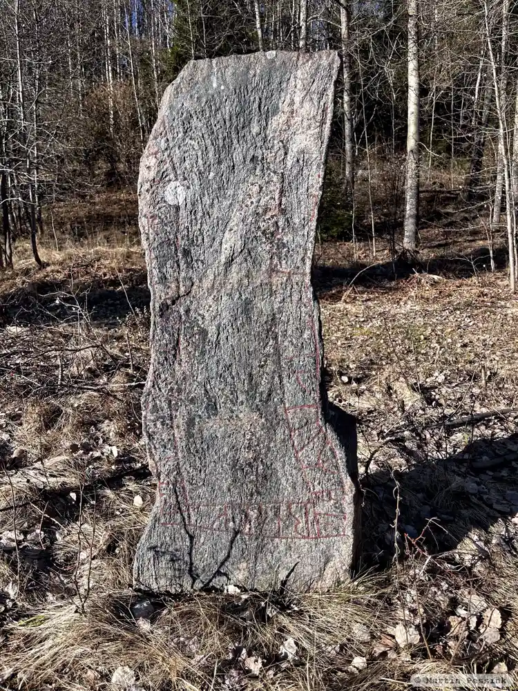Fotografi av Runsten Nolingestenen, SöFv1954;20, L2017:4703 taget av Martin Pessink