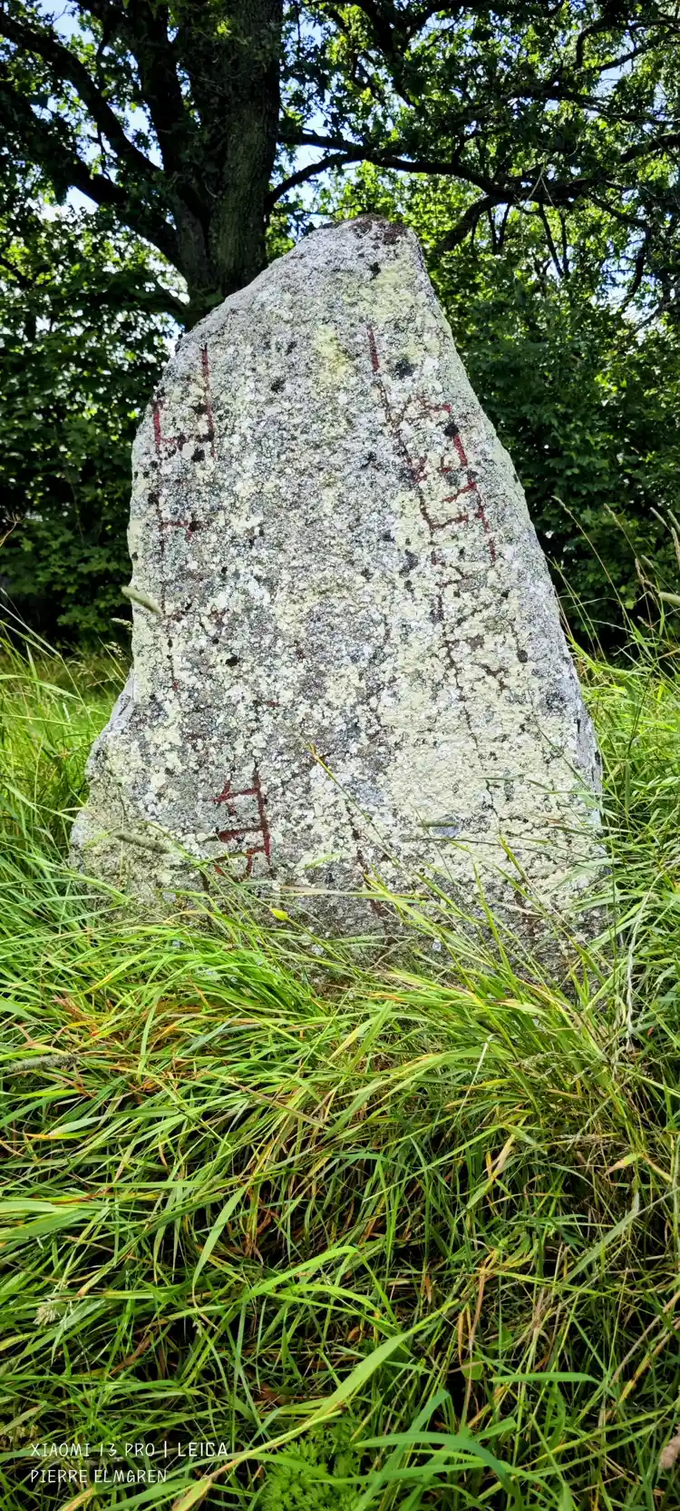 Fotografi av Runsten Sm8, L1955:7673 taget av Pierre Elmgren