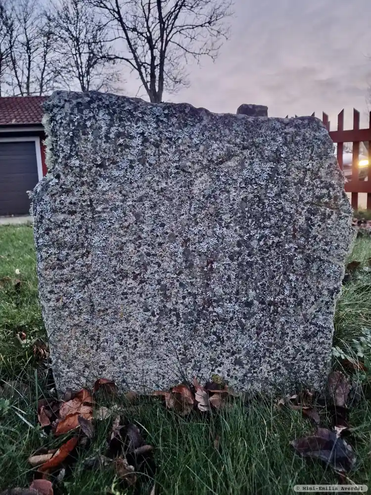 Fotografi av Runsten Sm87, L1971:9071 taget av Mimi-Emilia Averdal