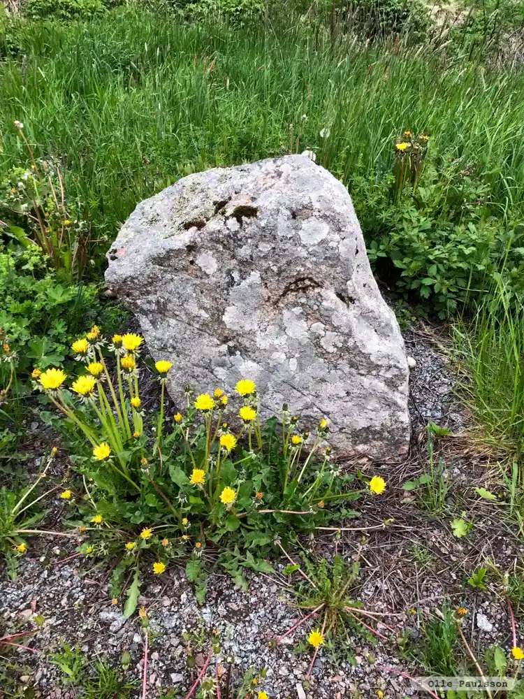 Fotografi av Runsten U1098, L1944:9532 taget av Olle Paulsson