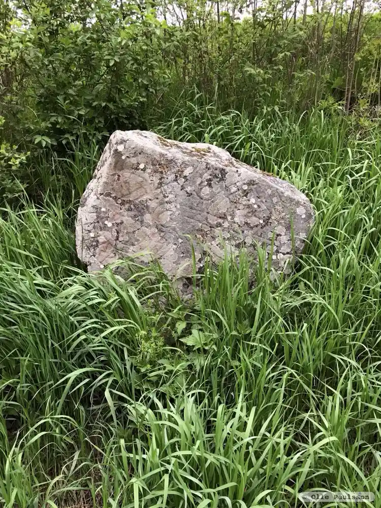 Fotografi av Runsten U1100, L1944:8469 taget av Olle Paulsson