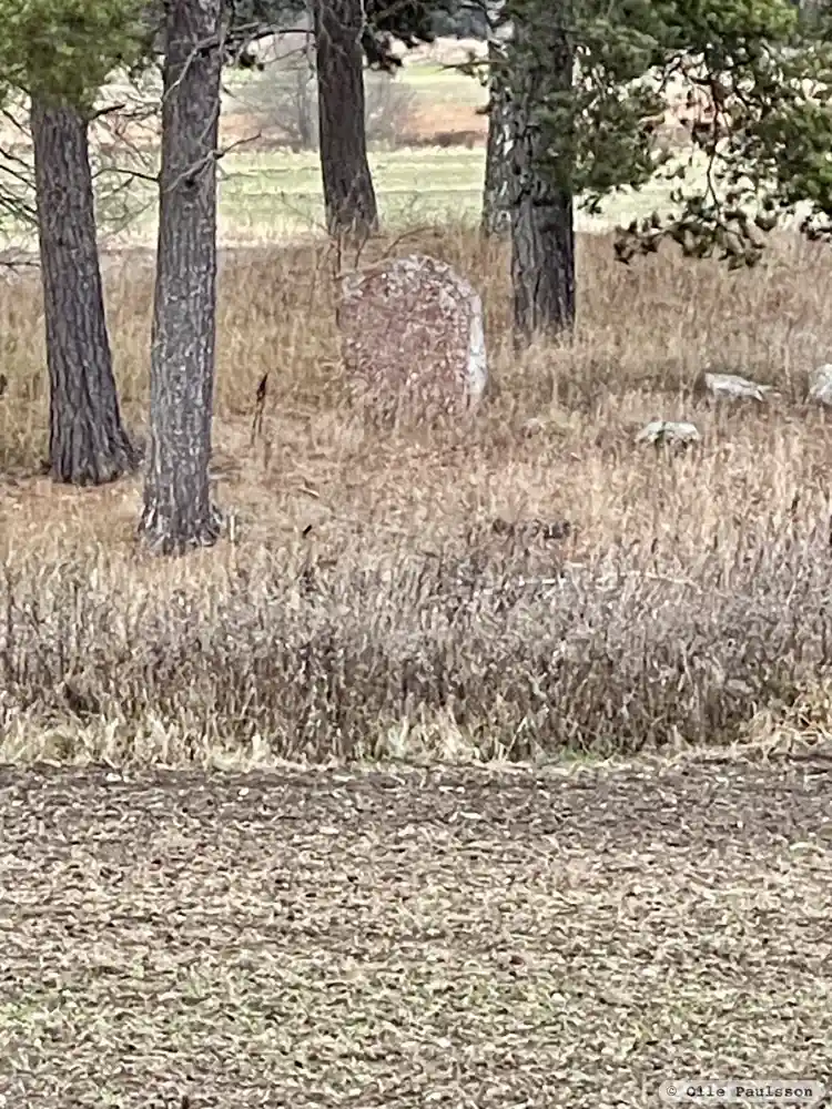Fotografi av Runsten U1142, L1941:5967 taget av Olle Paulsson