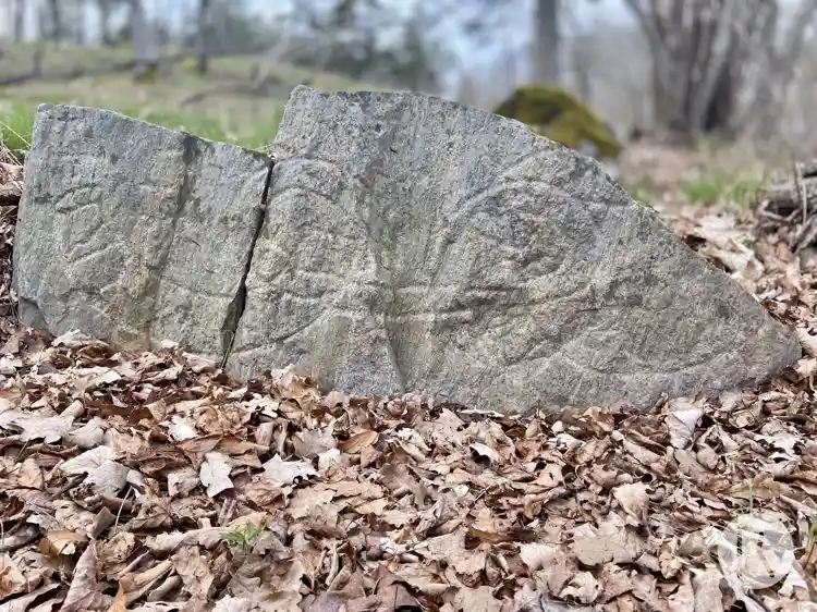 Fotografi av Runsten U170, L2013:9813 taget av Niklas Vackerdag