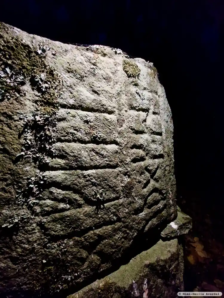 Fotografi av Runsten Vg110, L1964:7399 taget av Mimi-Emilia Averdal